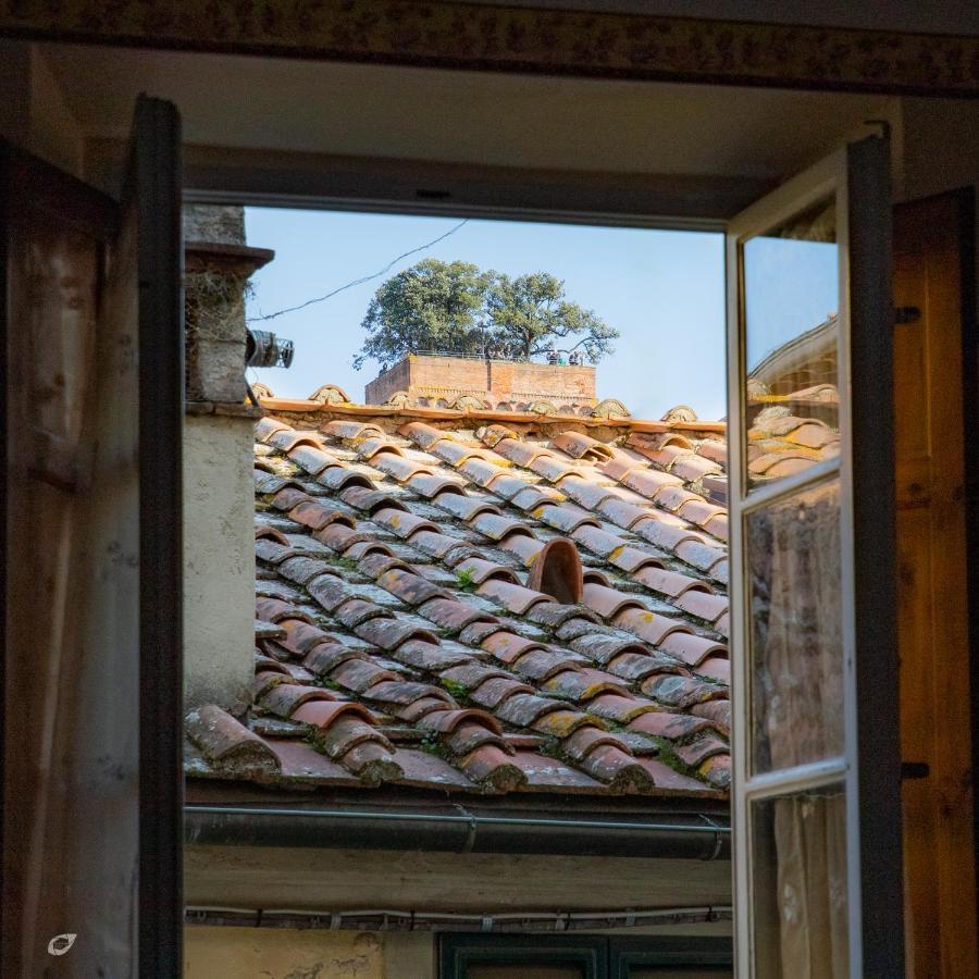 Appartement Casa Anna *